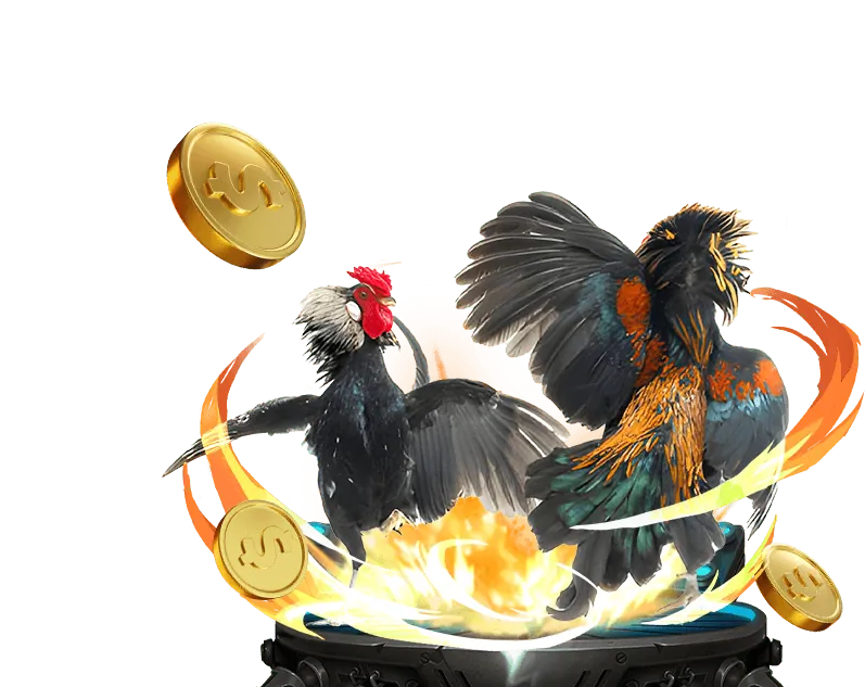 Các loại hình thể thao đa dạng tại 5vin